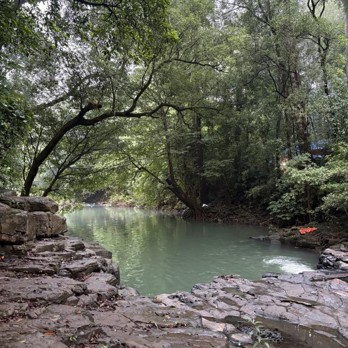 Trekking Bù Gia Mập: Kinh nghiệm từ A-Z cho người mới